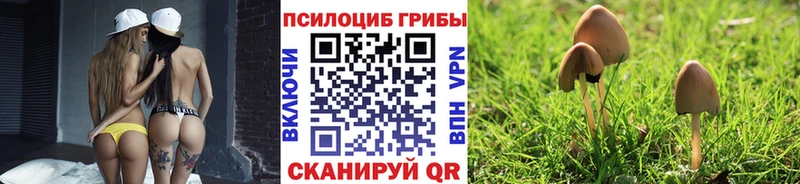 наркотики  Михайловка  нарко площадка Telegram  Псилоцибиновые грибы прущие грибы 